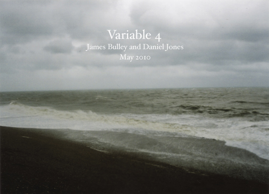Variable 4