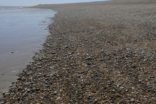 Dungeness Shore - Andreas Tovan