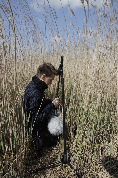 Field recording in reeds
