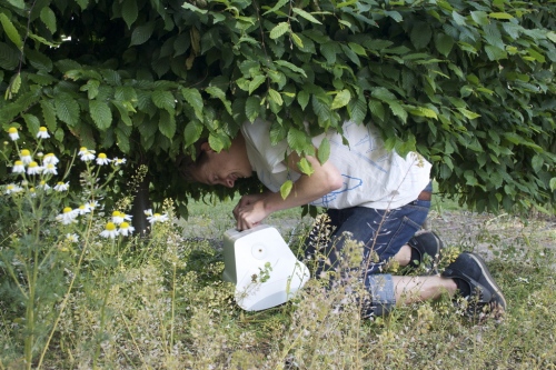 Wiring speaker in shrub