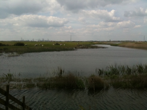 Dungeness RSBP